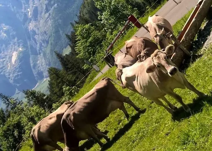 Panorama Wagenkehr * Innertkirchen