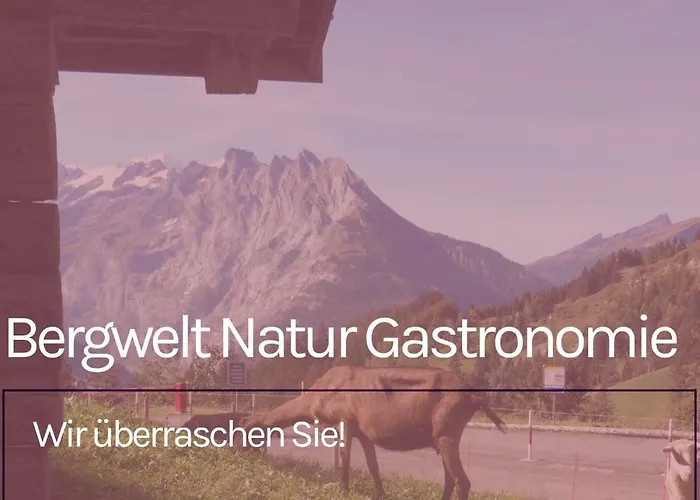 Kro Panorama Wagenkehr Innertkirchen